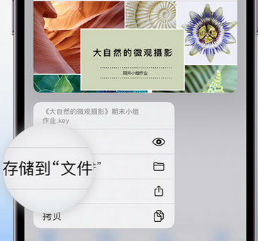 房山apple维修中心分享iPhone文件应用中存储和找到下载文件