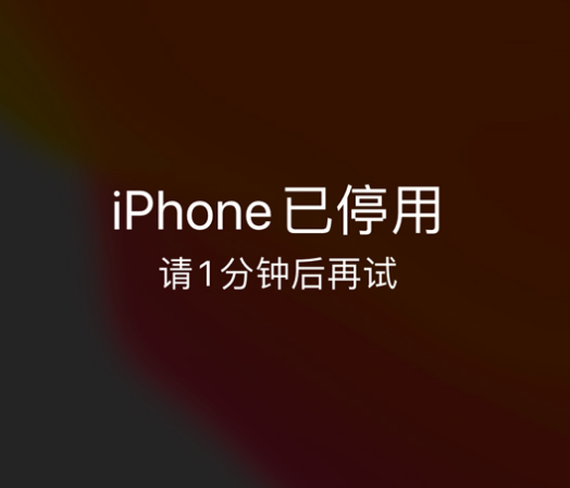 房山苹果手机维修分享:iPhone 显示“不可用”或“已停用”怎么办？还能保留数据吗？ 