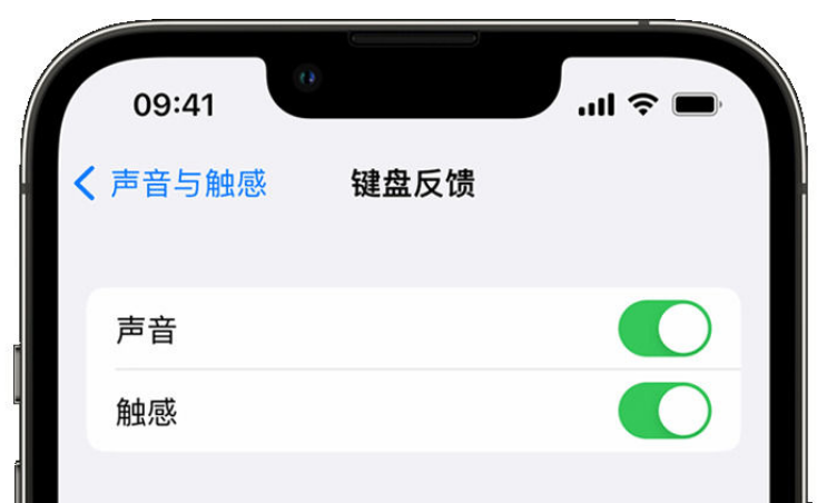 房山苹果手机维修分享iPhone 14触感键盘使用方法 