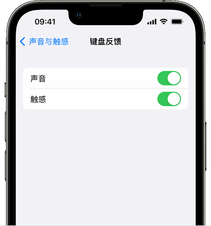 房山苹果14维修店分享如何在 iPhone 14 机型中使用触感键盘 