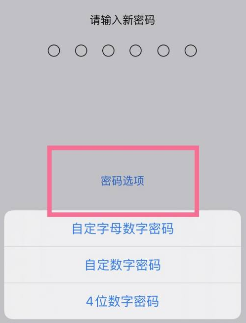 房山苹果14维修分享iPhone 14plus设置密码的方法 