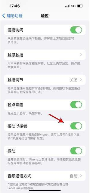 房山苹果手机维修分享iPhone手机如何设置摇一摇删除文字 