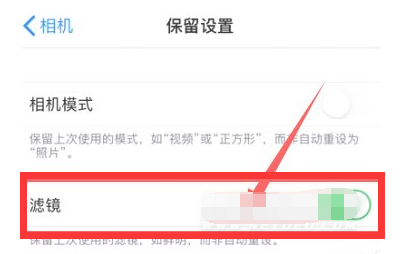 房山苹果13维修分享iPhone13拍照有绿点是怎么回事 