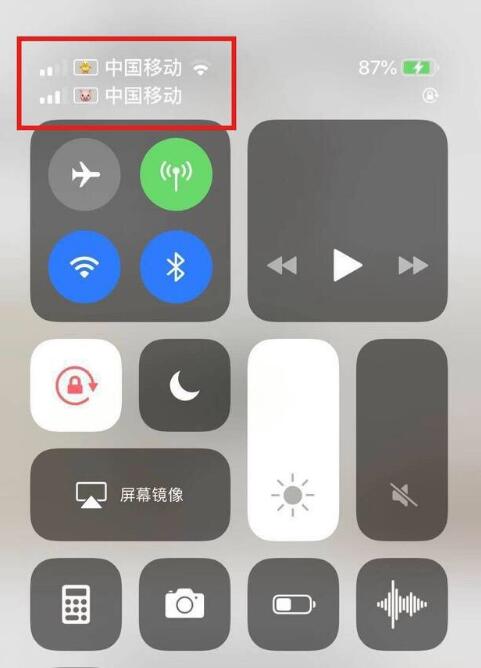房山苹果手机维修分享为 iPhone 12 双卡设置标签 
